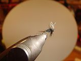 Smallest Fly on Hook28