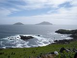 DSCN0453