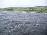 DSCN0460